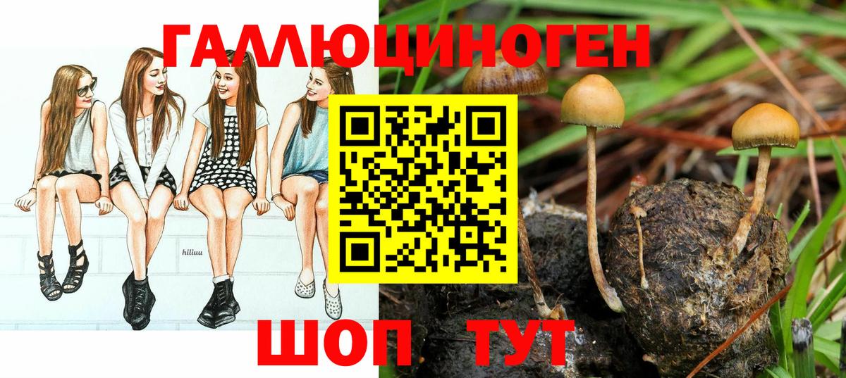 Галлюциногенные грибы Cubensis Волгоград
